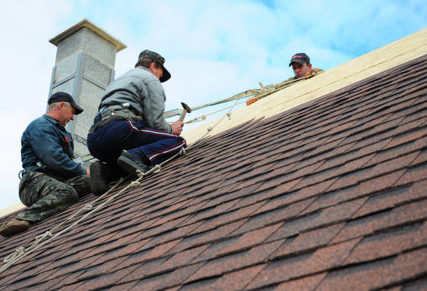Best Residential Roofing Contractor  in Ralls, TX